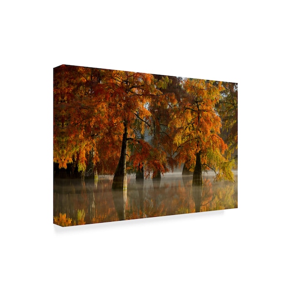 Barre Thierry 'Weightlessness' Canvas Art,30x47